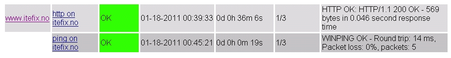 Nagwin example - monitoring a web site